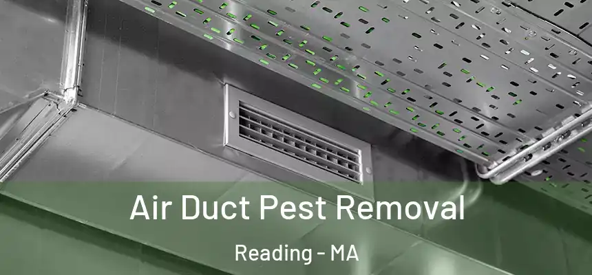  Air Duct Pest Removal Reading - MA