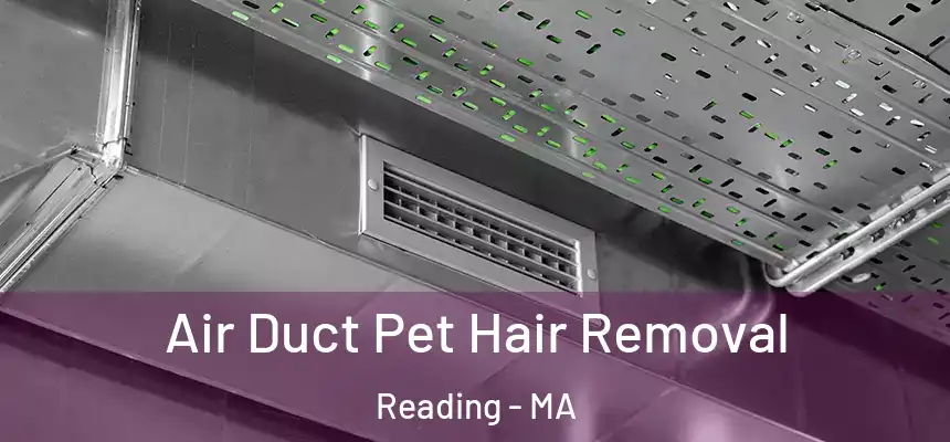 Air Duct Pet Hair Removal Reading - MA