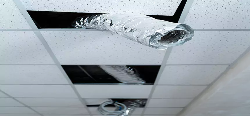 Affordable HVAC Sanitizing After Pest Removal in Reading