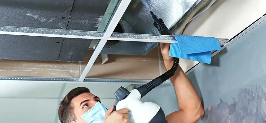 Our Air Duct Rodent Removal Services in Reading, MA