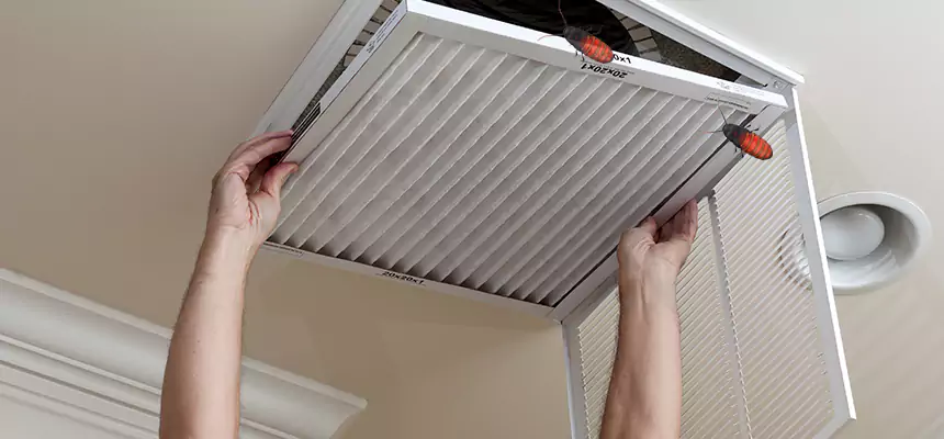 Our Insect Removal from Air Ducts Services in Reading, MA