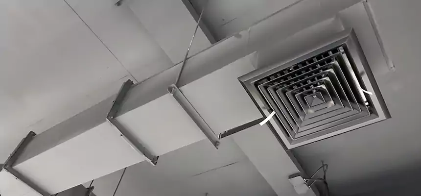 Our Rodent Droppings In Vents Services in Reading, MA