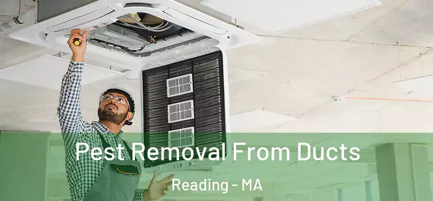 Pest Removal From Ducts Reading - MA