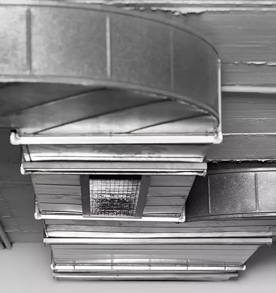 Professional Air Duct Pest Removal in Reading, MA