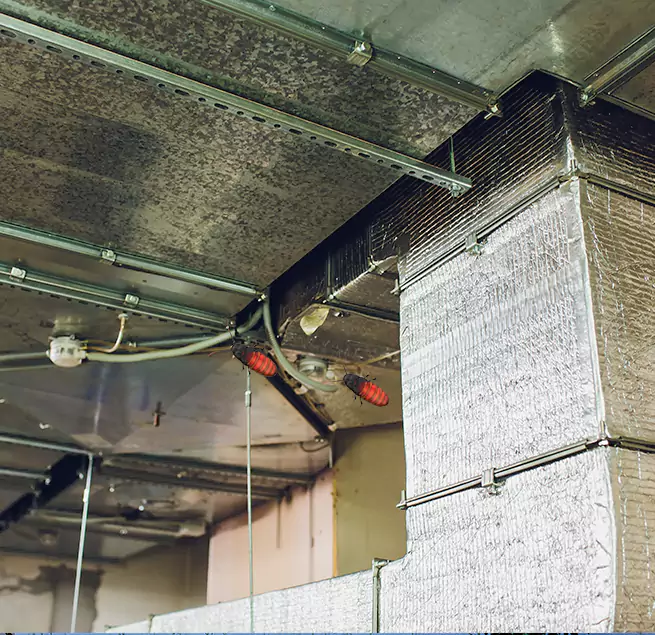 Why Homeowners & Businesses Trust Us in Reading, MA?