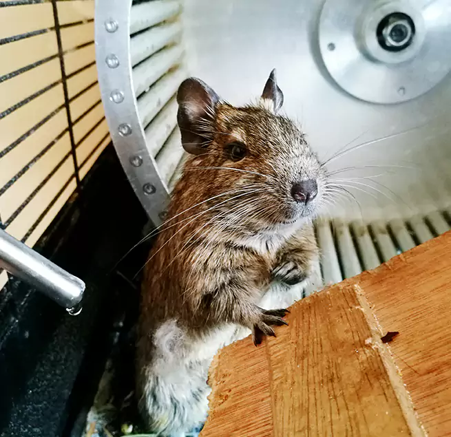 Why Homeowners & Businesses Trust Us Reading, MA