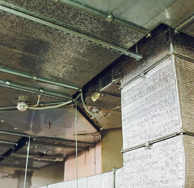 Why Homeowners & Businesses Trust Us in Reading, MA?